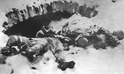 Замученные фашистами советские военнопленные, найденные в подвале бывшего промтоварного магазина после освобождения г. Острогожска. Январь 1943 г