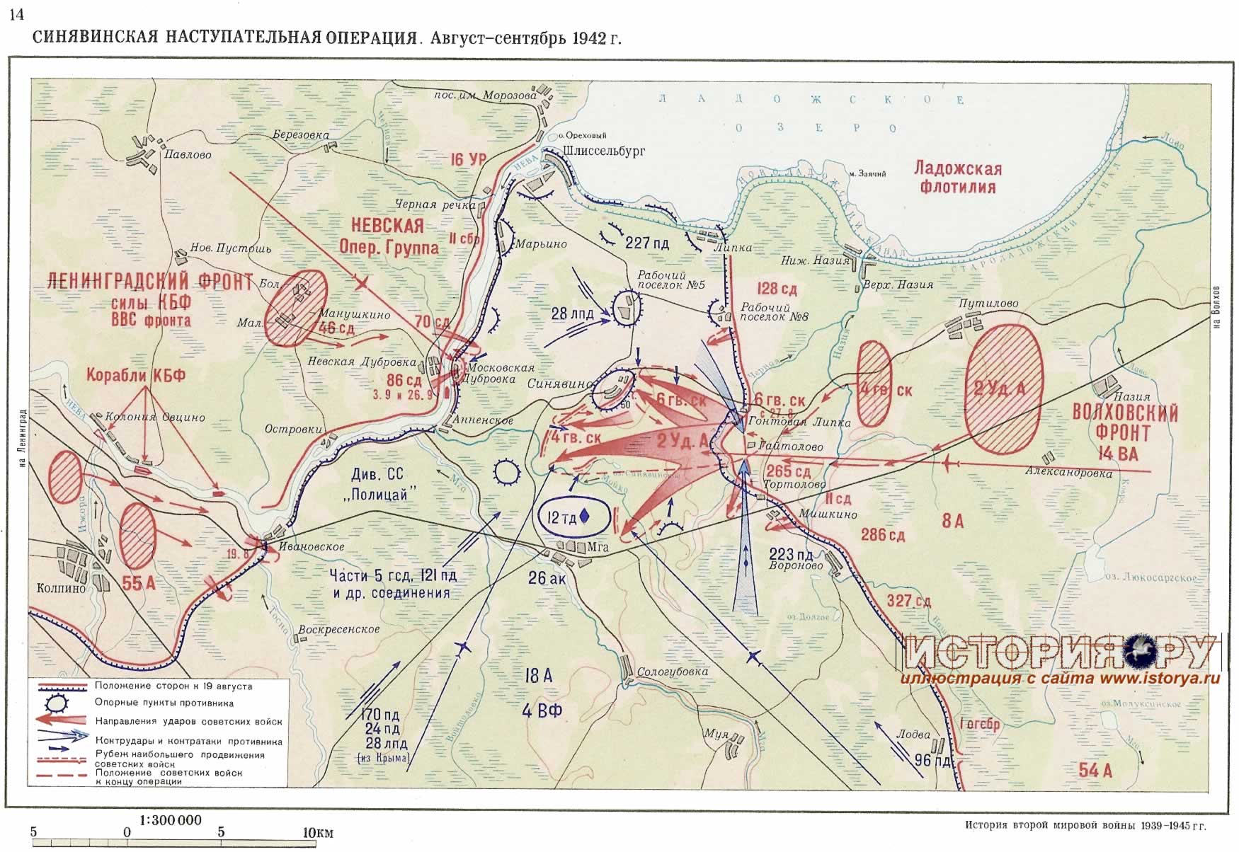 Синявинская наступательная операция. Август-сентябрь 1942г.