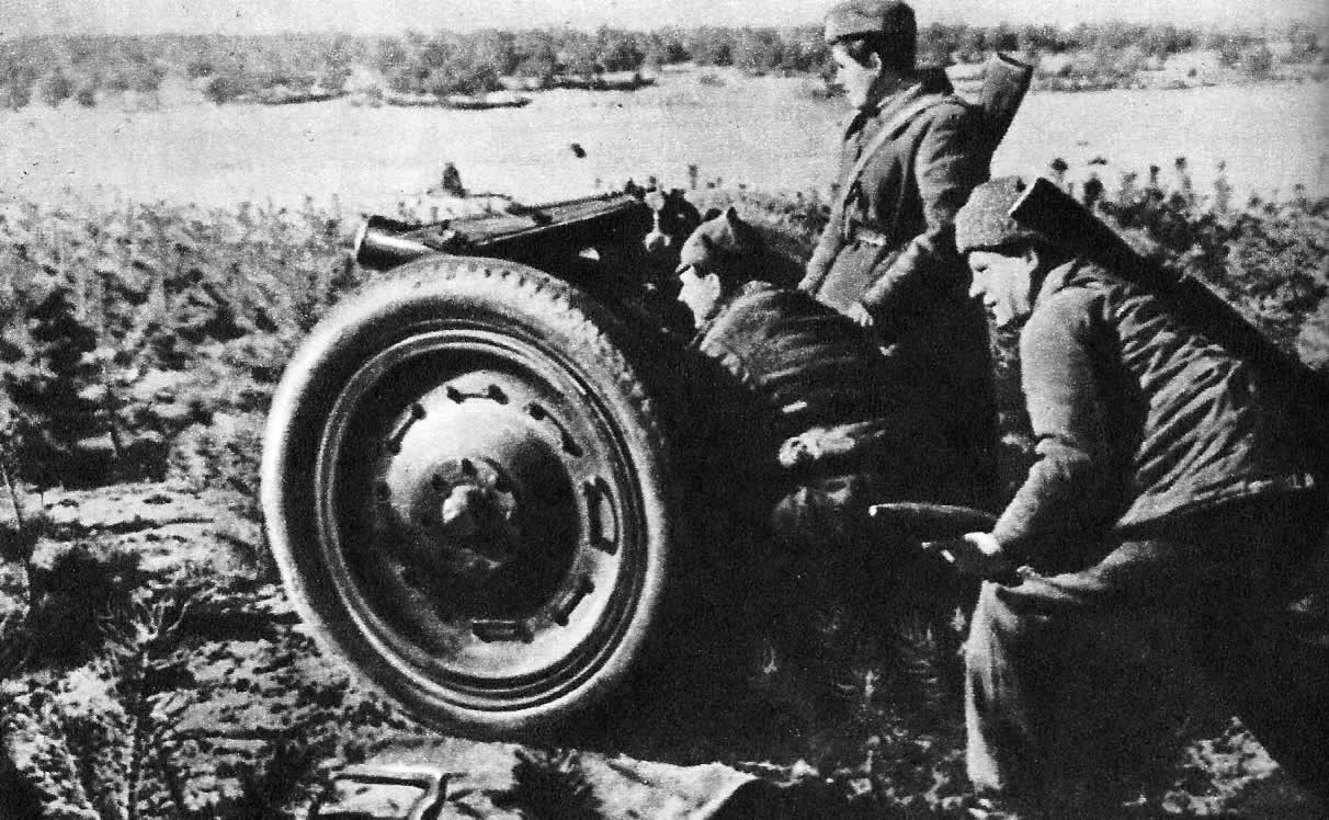 Прямой наводкой по захватчикам... Партизаны-артиллеристы Ленинградской области