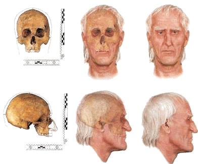 Процесс реконструкции облика человека по черепу уже давно отработан антропологами. Польские криминалисты наложили на кости «лицевые мышцы», затем покрыли их «кожей». А вот прическу семидесятилетнего Коперника пришлось додумать